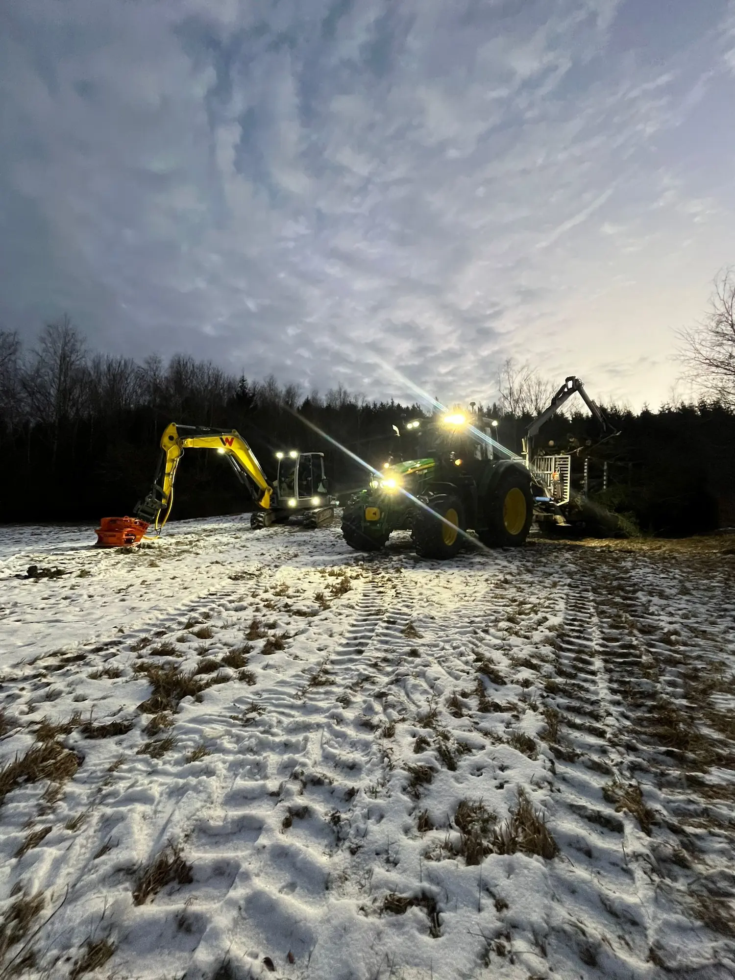 Paar_Bagger-Hausruck-Spezialleistungen-Forstarbeiten-Baumfällung Forstarbeiten - Spezialdienstleistungen von Der PAAR - Ihr Baggerbetrieb im Hausruckviertel.